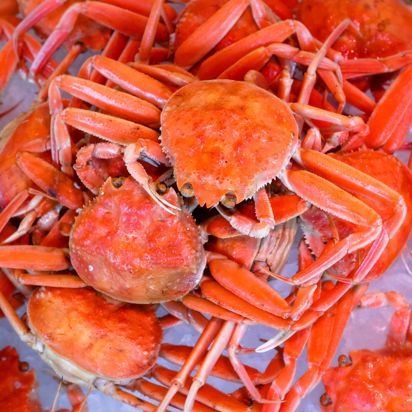 Kinosaki Onsen Krebs01