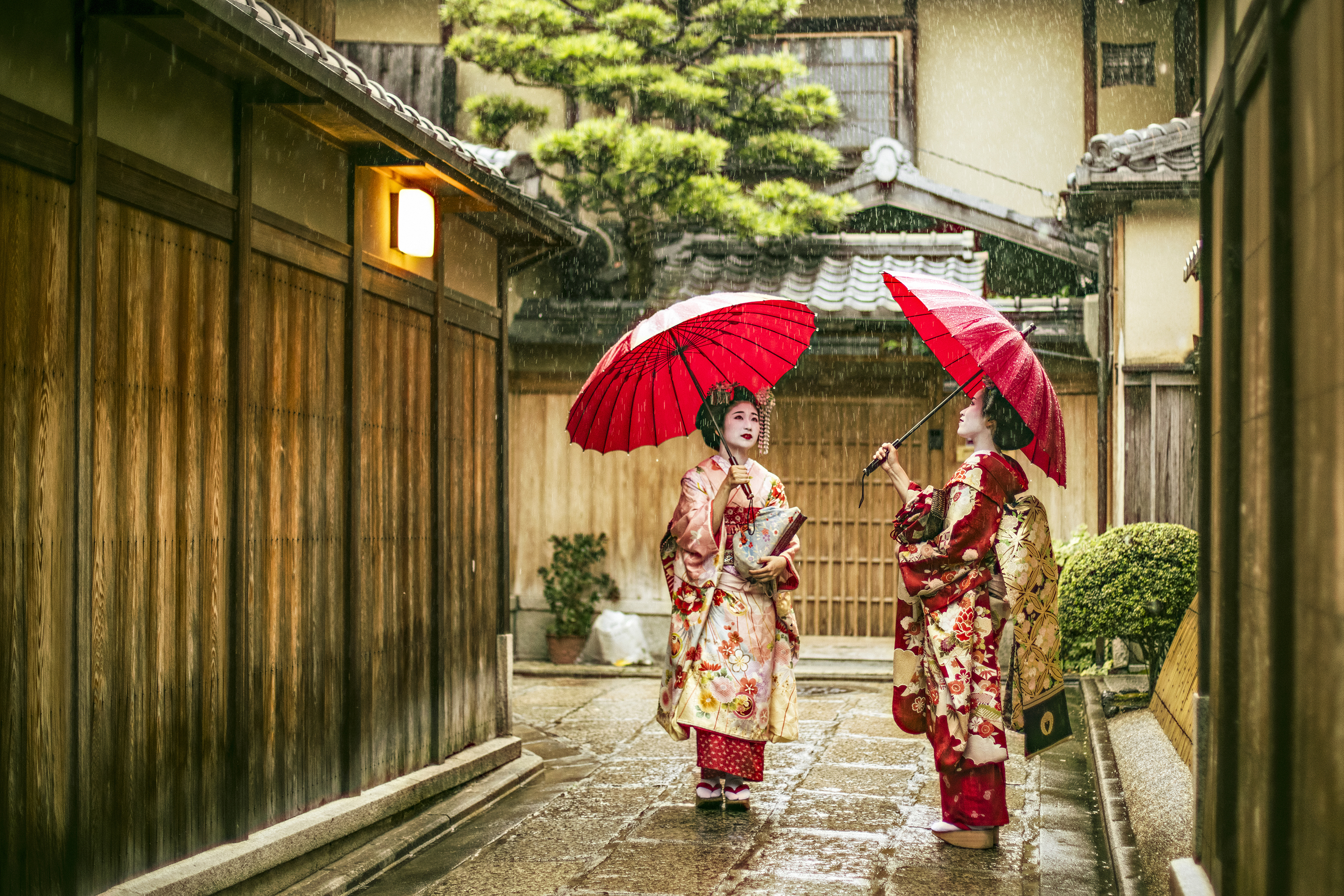 Kyoto Geisha Maiko Gi 641625826