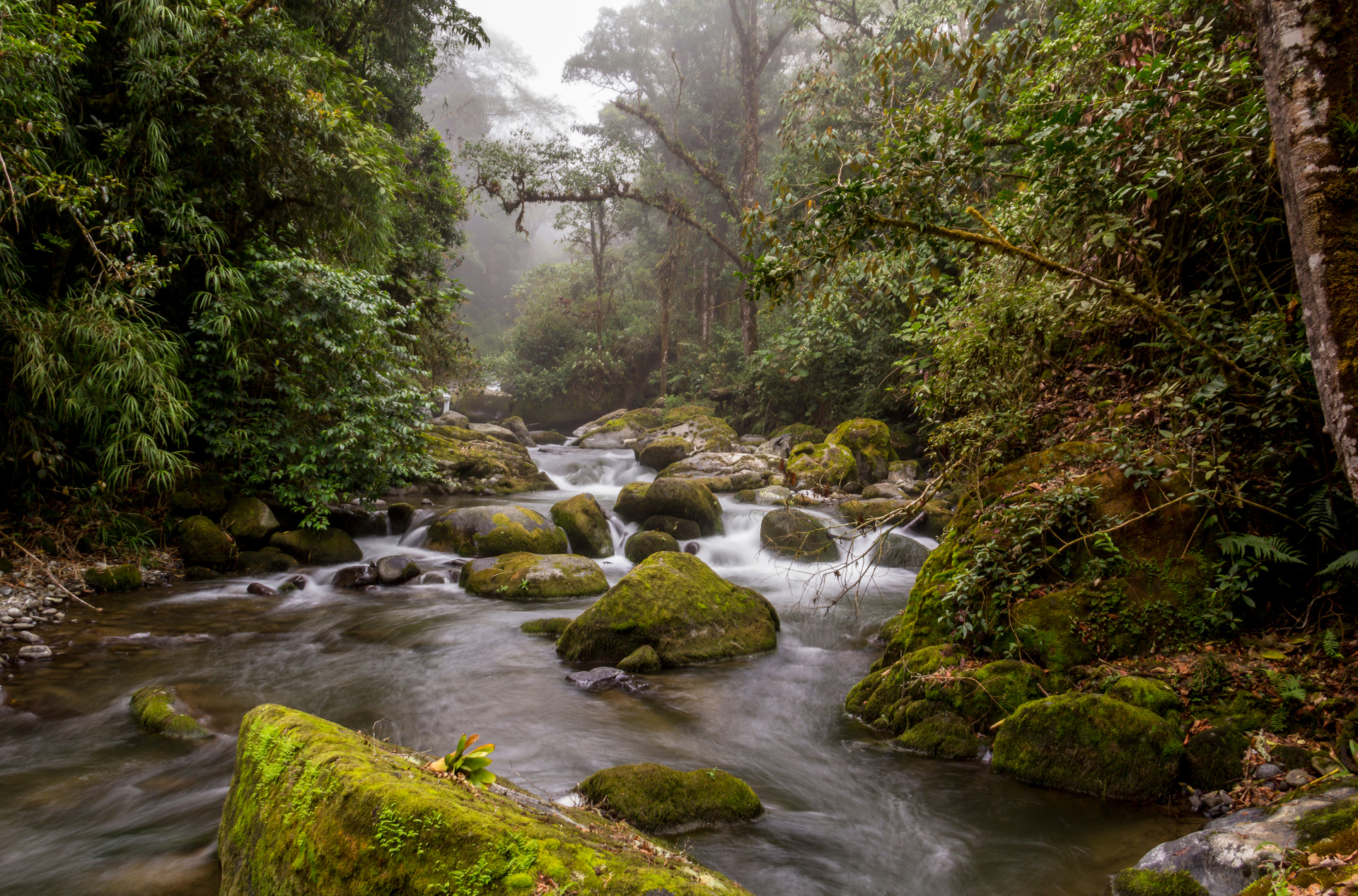 costa rica - los qetzales national park_01