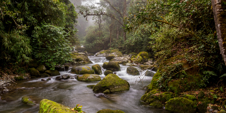 costa rica - los qetzales national park_01