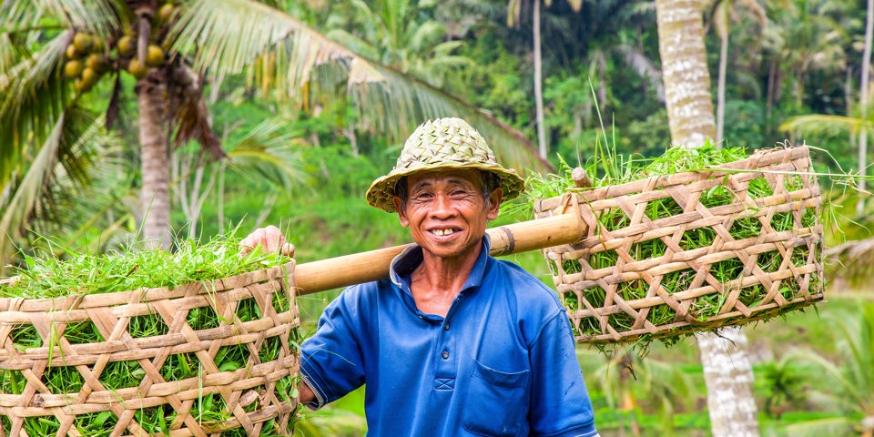 bali - bali_rismark_farmer_09