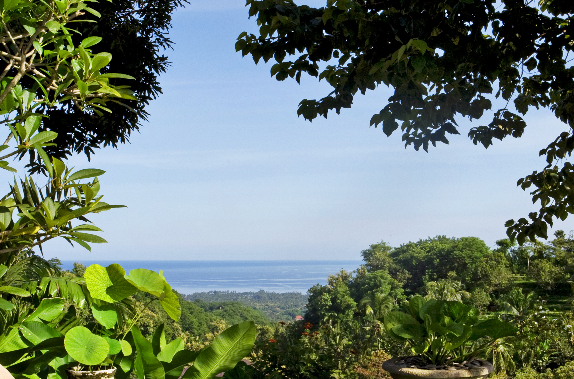 bali - lovina - the damai resort_pooldeck view_01