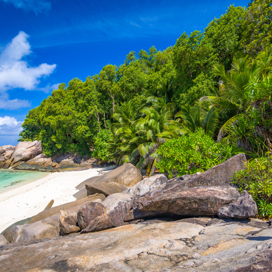 seychellerne - moyenne island_strand_01