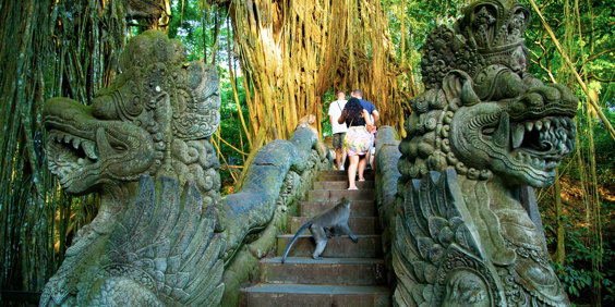 Ubud Monkey Temple Entrance