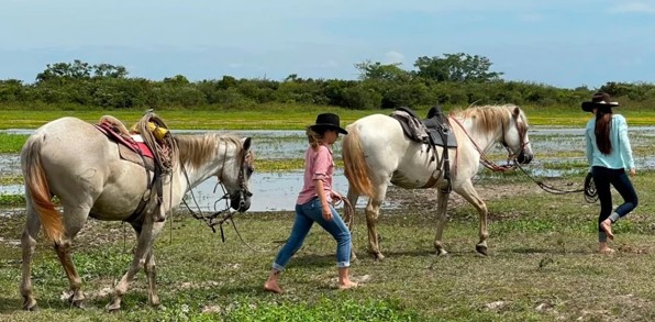 Colombia Los Llanos Horse Safari