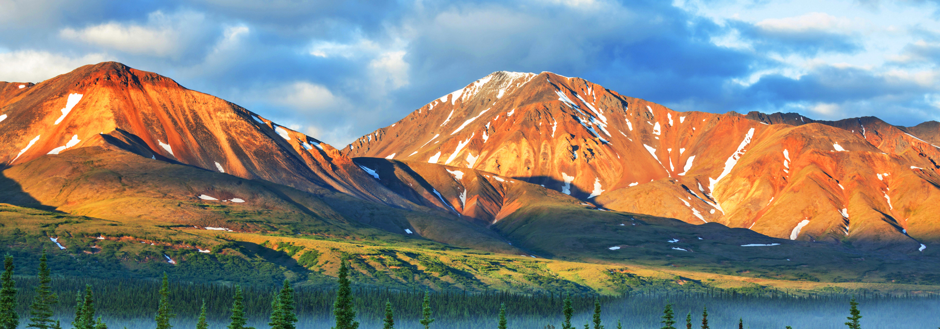 denali national park_alaska range_bjerge_02