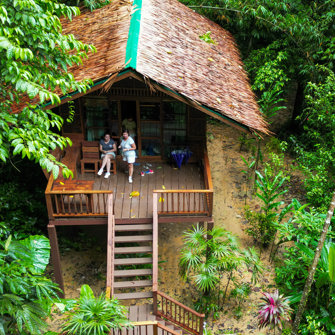Bo i trækronerne på Our Jungle House