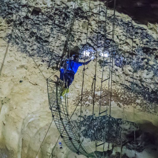 Gomantong Grotte Fuglerede Samler 01