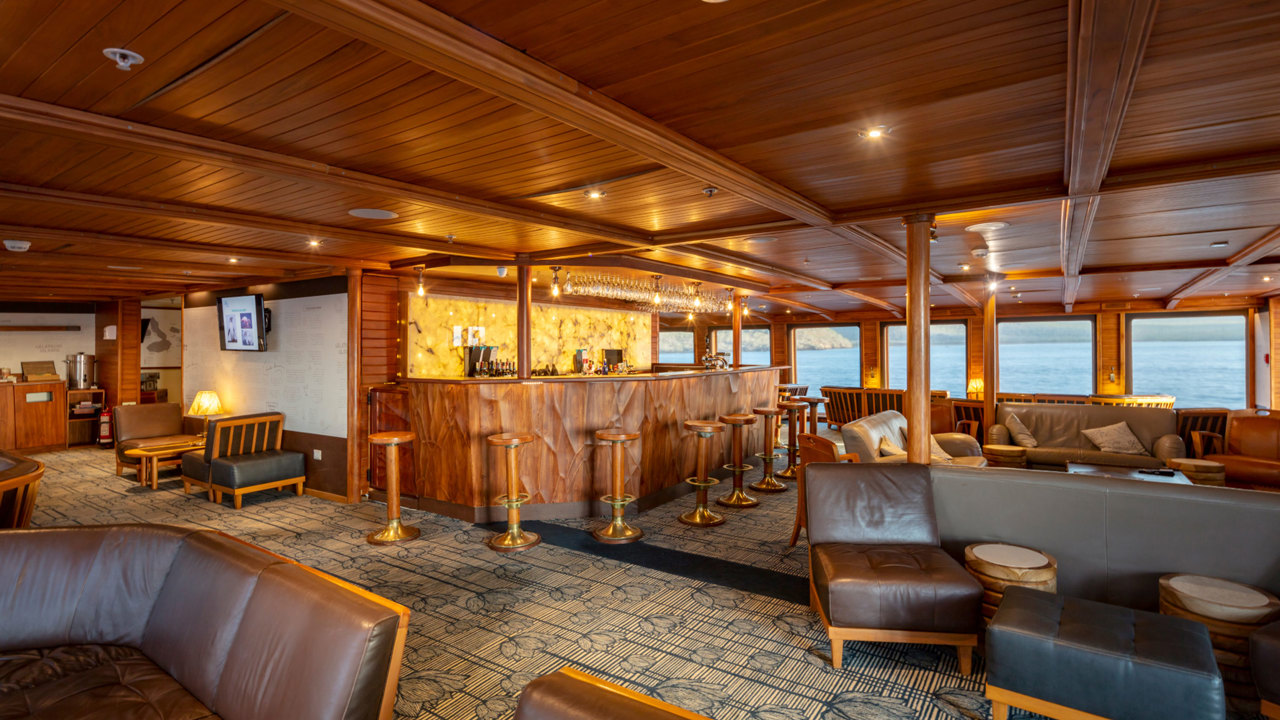 DARWIN LOUNGE 2