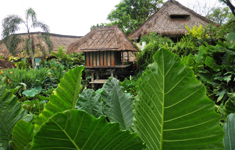 bali - padangbai - bloo lagoon_udendoers areal_01
