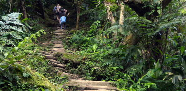 colombia - the lost city_04