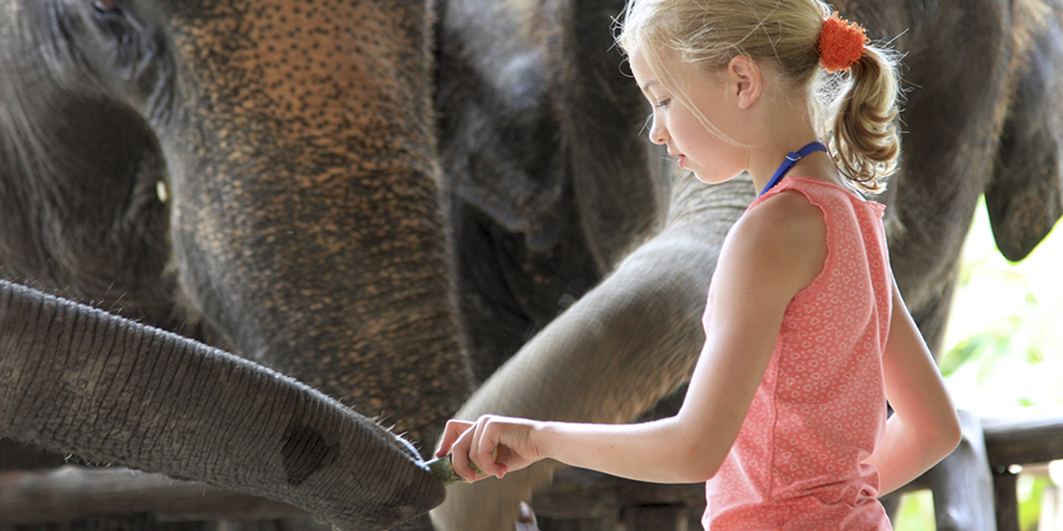 thailand - khao sok_elephant hills_elefanter_16