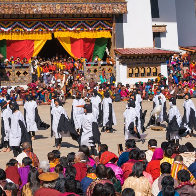 Bhutan Gangtey Black Necked Crane Festival Trane Dans