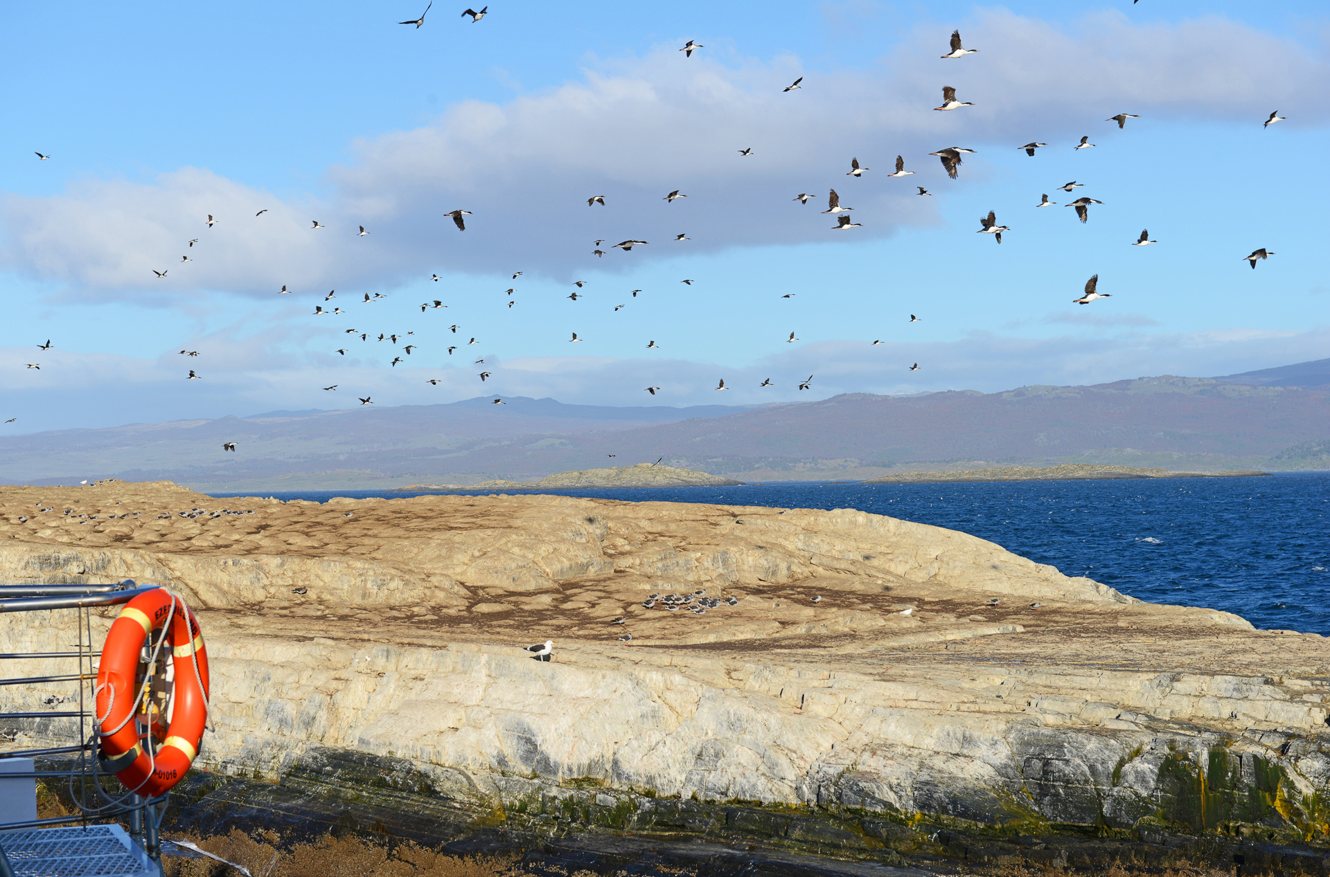 argentina - beagle channel_03