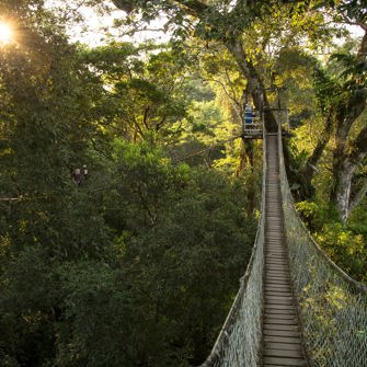 Canopy Hængebro