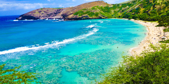 hawaii_oahu_islan_snorkling_01