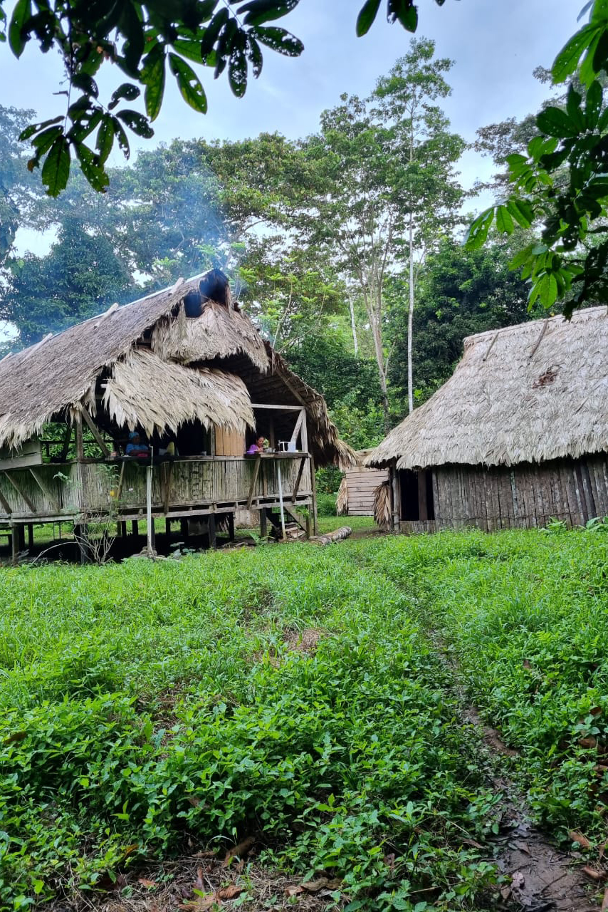 Yorkin De Talamanca Hus 02