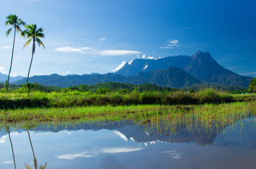 mount kinabalu_11