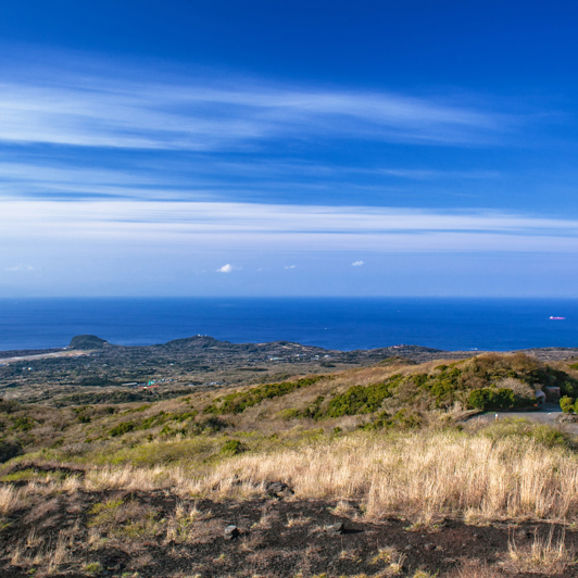 Izu Oshima Island GI 1318997174