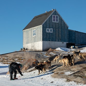 I skal ud på hundeslædetur i de smukke vinterlandskaber
