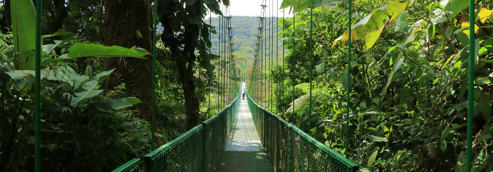 costa rica - monteverde_jungle_haengende_bro_20