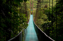 costa rica - monteverde_jungle_haengende_bro_02