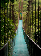 costa rica - monteverde_jungle_haengende_bro_02