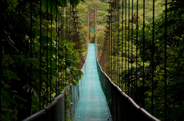 costa rica - monteverde_jungle_haengende_bro_02