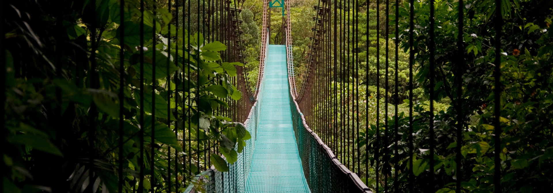 costa rica - monteverde_jungle_haengende_bro_02