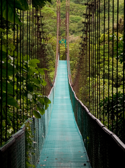 costa rica - monteverde_jungle_haengende_bro_02