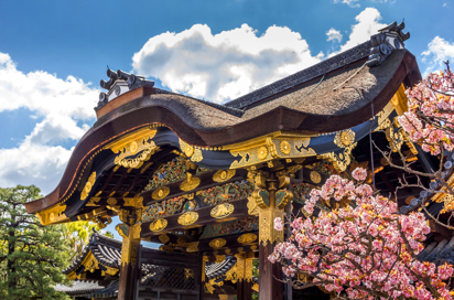 Kyoto Nijo Borg As 302851678