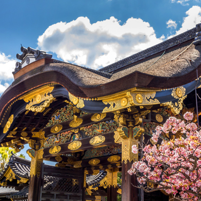Kyoto Nijo Borg As 302851678