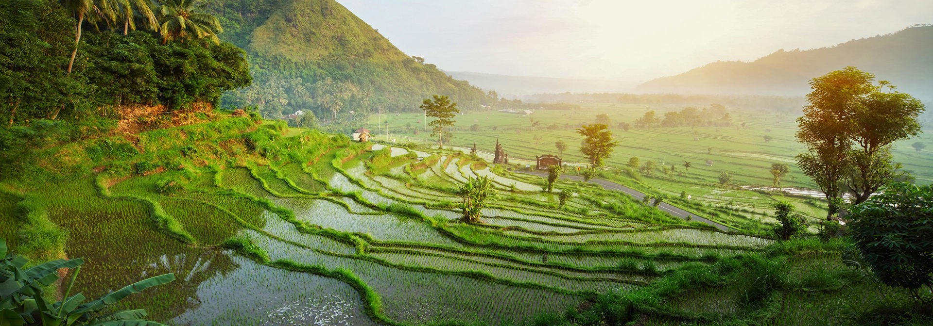 bali - ubud_rismark_16