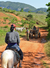 cuba - vinales ridning bonde