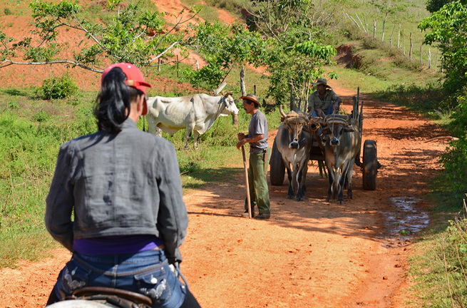 cuba - vinales ridning bonde