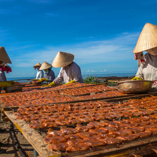 vietnam - long hai_fiskere_04