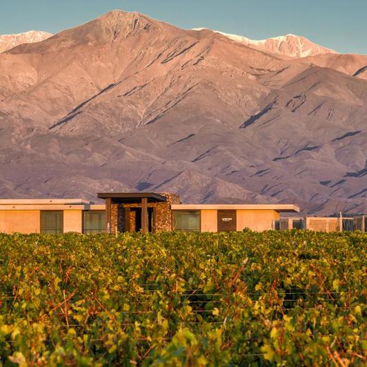 argentina - the vines hotel_01