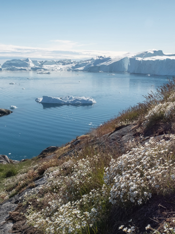 Ilulissat Isfjord