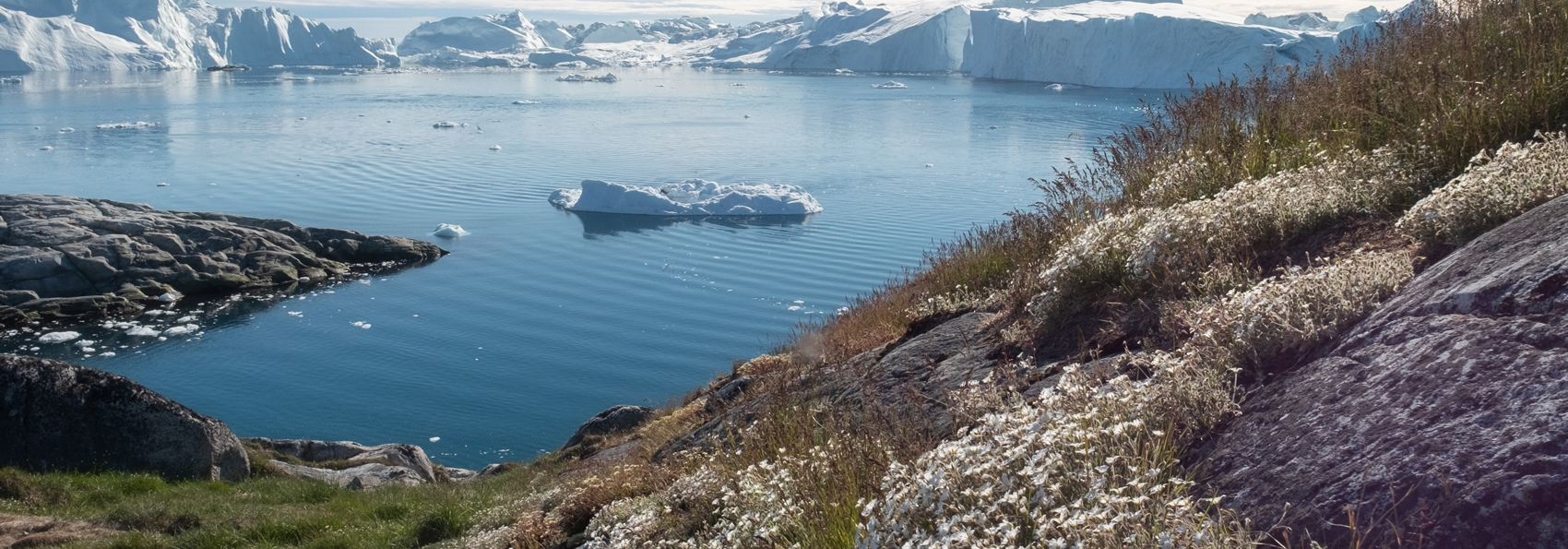 Illulissat_fjord_sommer_01