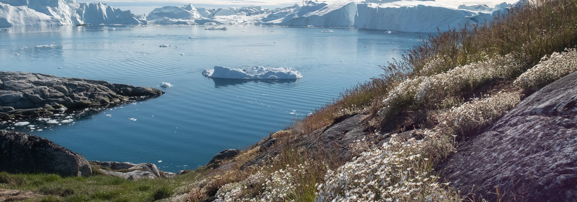 Illulissat_fjord_sommer_01