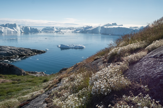 Illulissat_fjord_sommer_01