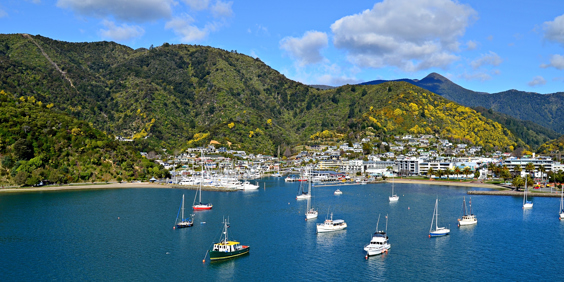 new zealand - marlborough sounds_picton_01