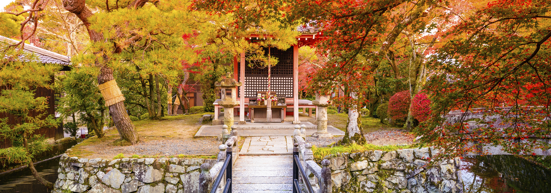 japan - kyoto_ahorntrae_01