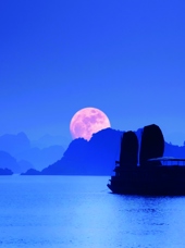 Vietnam - halong bugten_13
