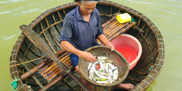Vietnam - cua dai_mand fisk_01