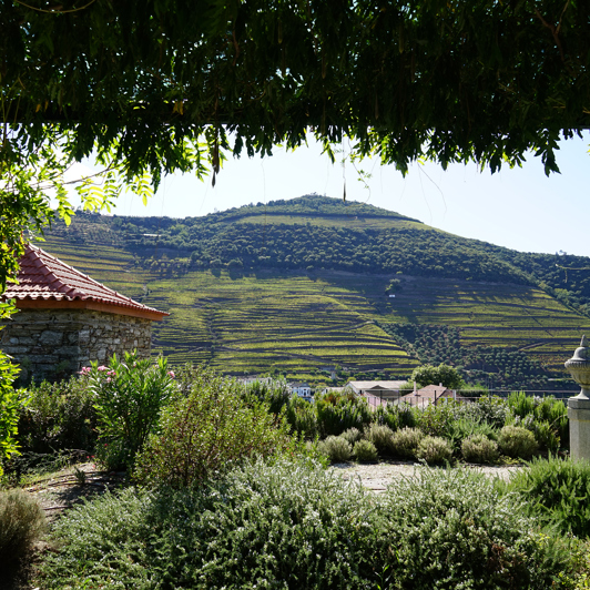 douro dalen_vingaard_01