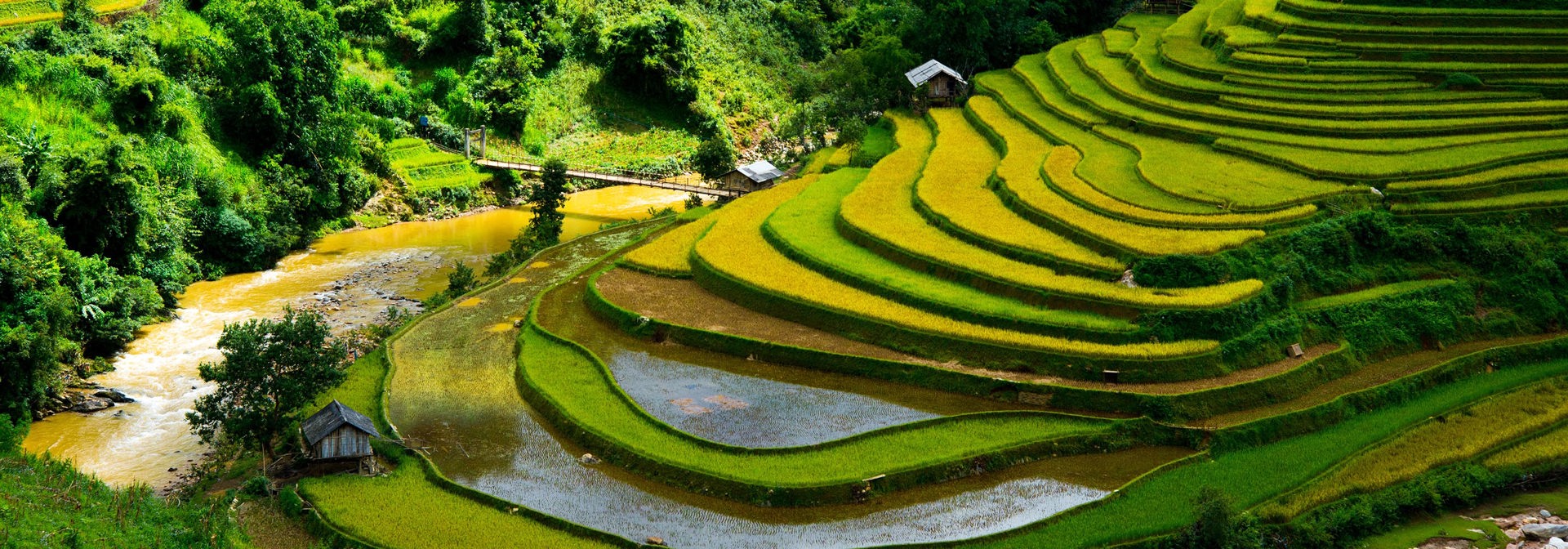 bali - ubud_rismark_27