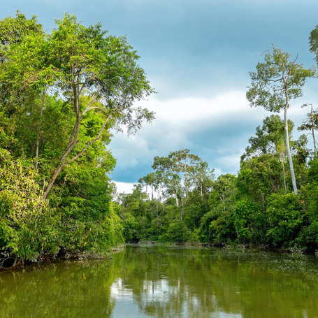 Borneo Kinabatangan River 410887681