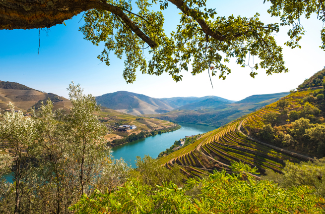 Douro Dalen_06